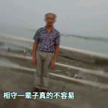 业余武爱海报
