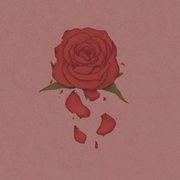 🥂ꦿ꯭贼娃子ღ🥀的头像