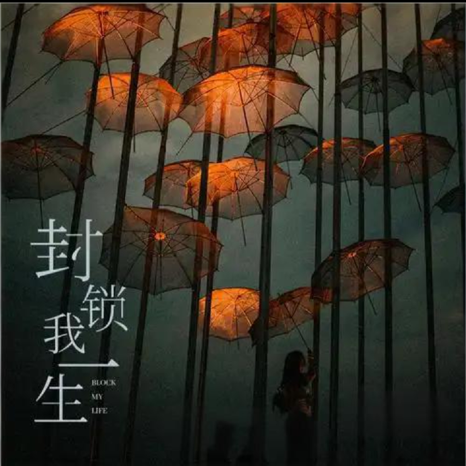 黯影独酌海报