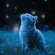 星空♥落雨