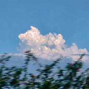 ——88–海报