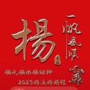 杨大军石膏线