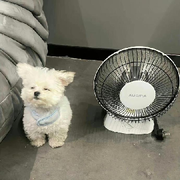 厕所里称王