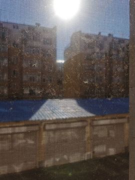 天王盖地虎虎044的图片