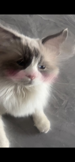 旺仔带你户外游主播照片