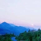老黄ea
