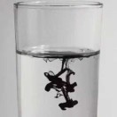 恋爱先生o的头像
