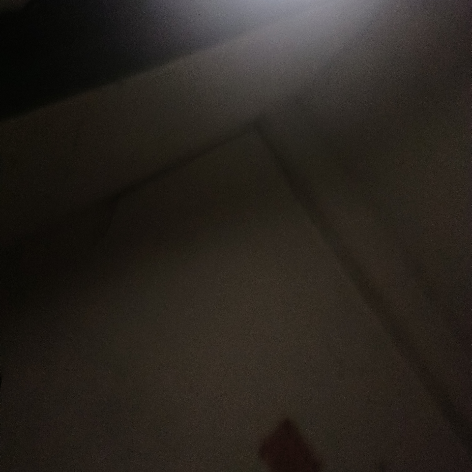 fzsx海报