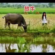 💞珍曦💞
