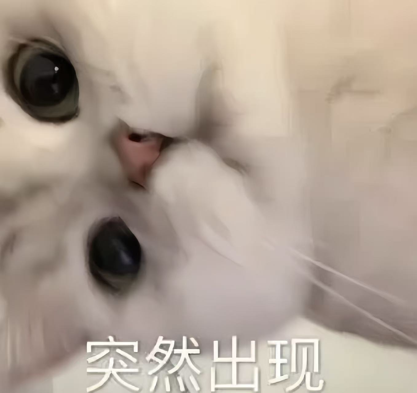 小雪碧缺人疼💓主播图片