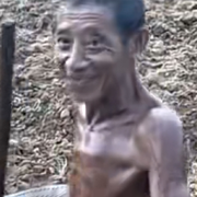 G信号G的头像