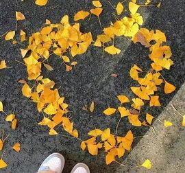 ᰔᩚ.小珠茱的图片