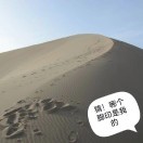 风之物语8d