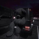 wxdh2