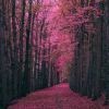 桜渃r