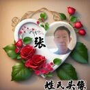 张青亮b