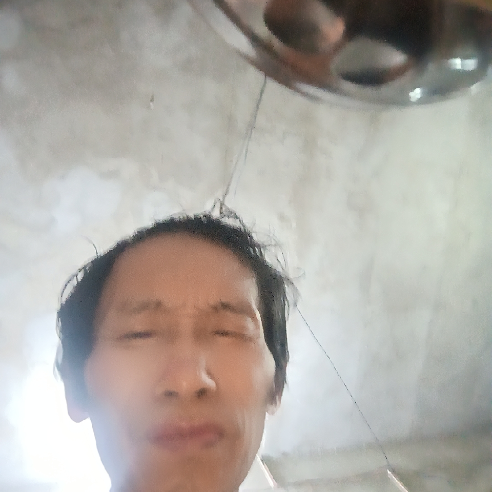 李作见海报