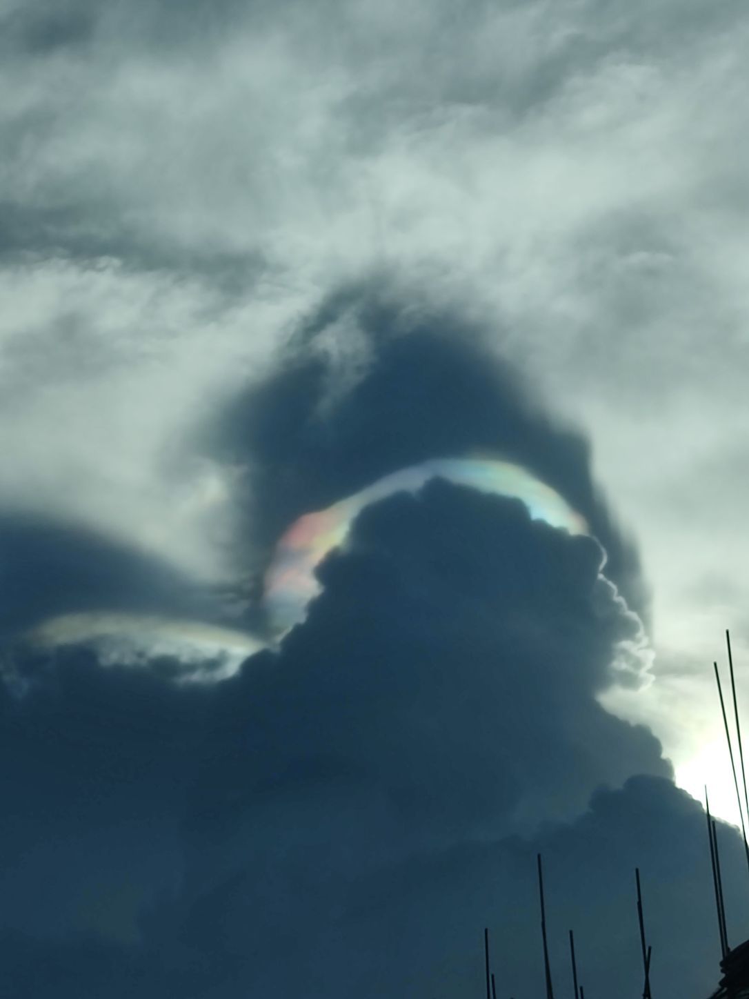 ღᩚ小娘子主播图片