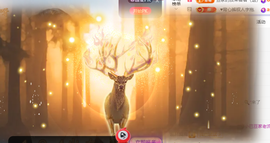 ♚~小巴豆~贪财好色主播照片