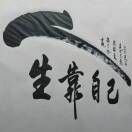 半生已过，学会4