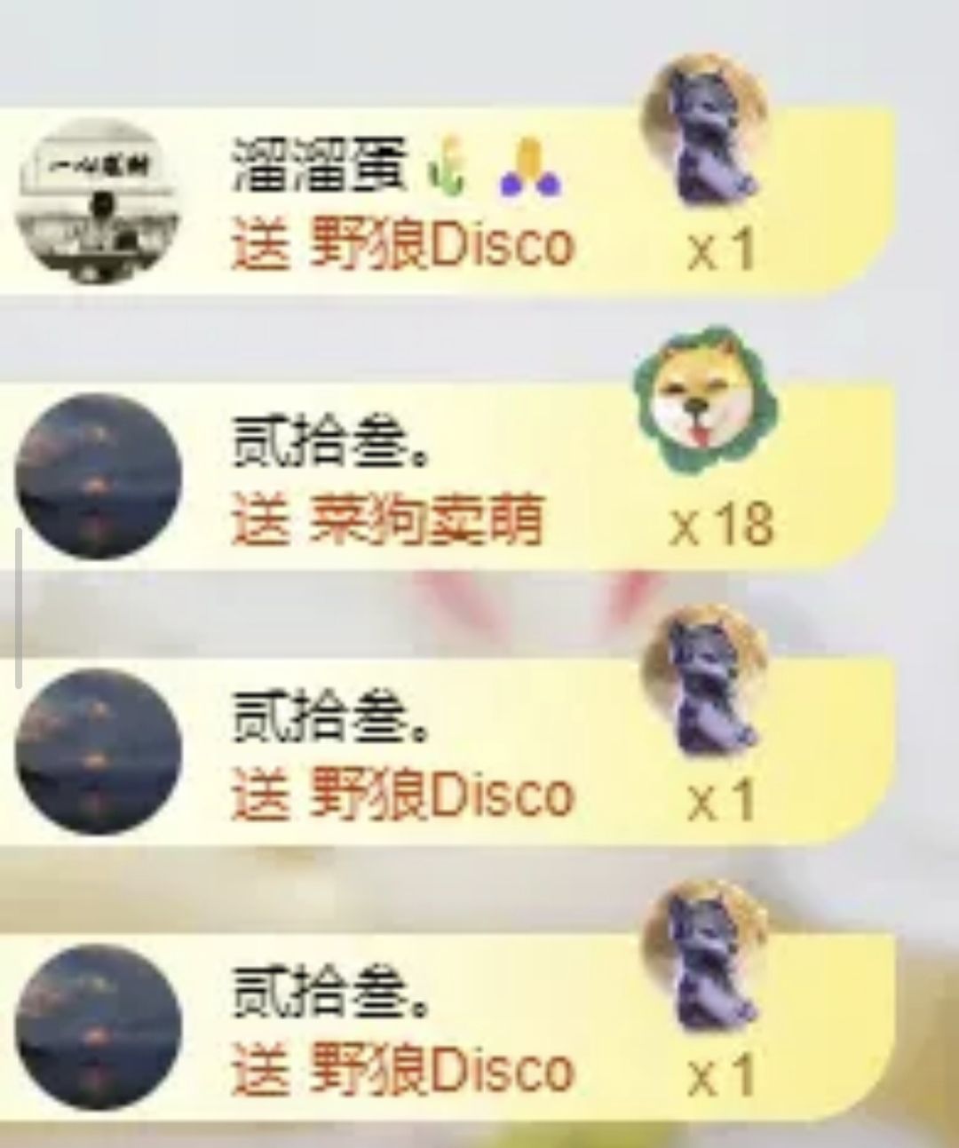 海鸽祝中秋快乐主播图片