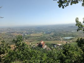 亲爱的你在想我吗冷凡的图片