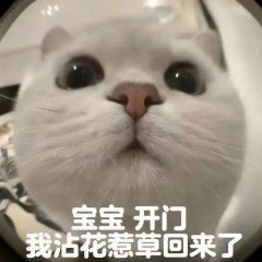 洁儿宝宝~双节快乐的图片