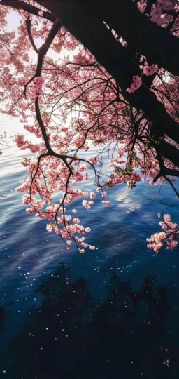 账号❥已注销海报