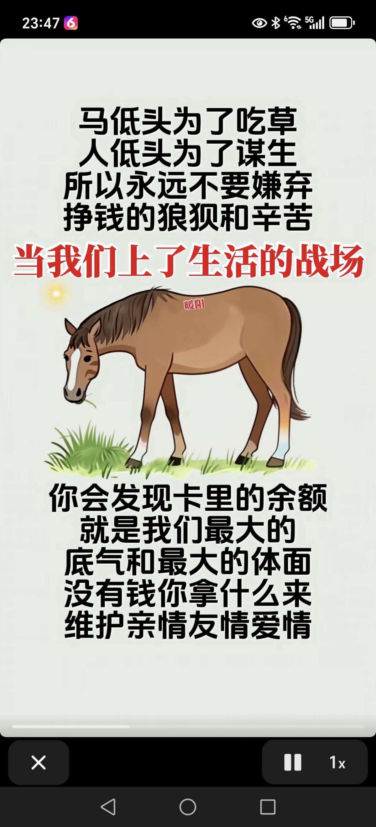 鸭鸭💞愿有一束光主播图片