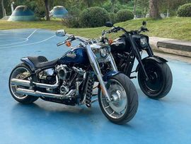 张华龙丨骑行会长的图片