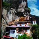 远方的我在等你着的头像