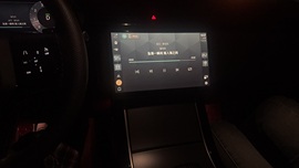 王楠求逐光票的图片