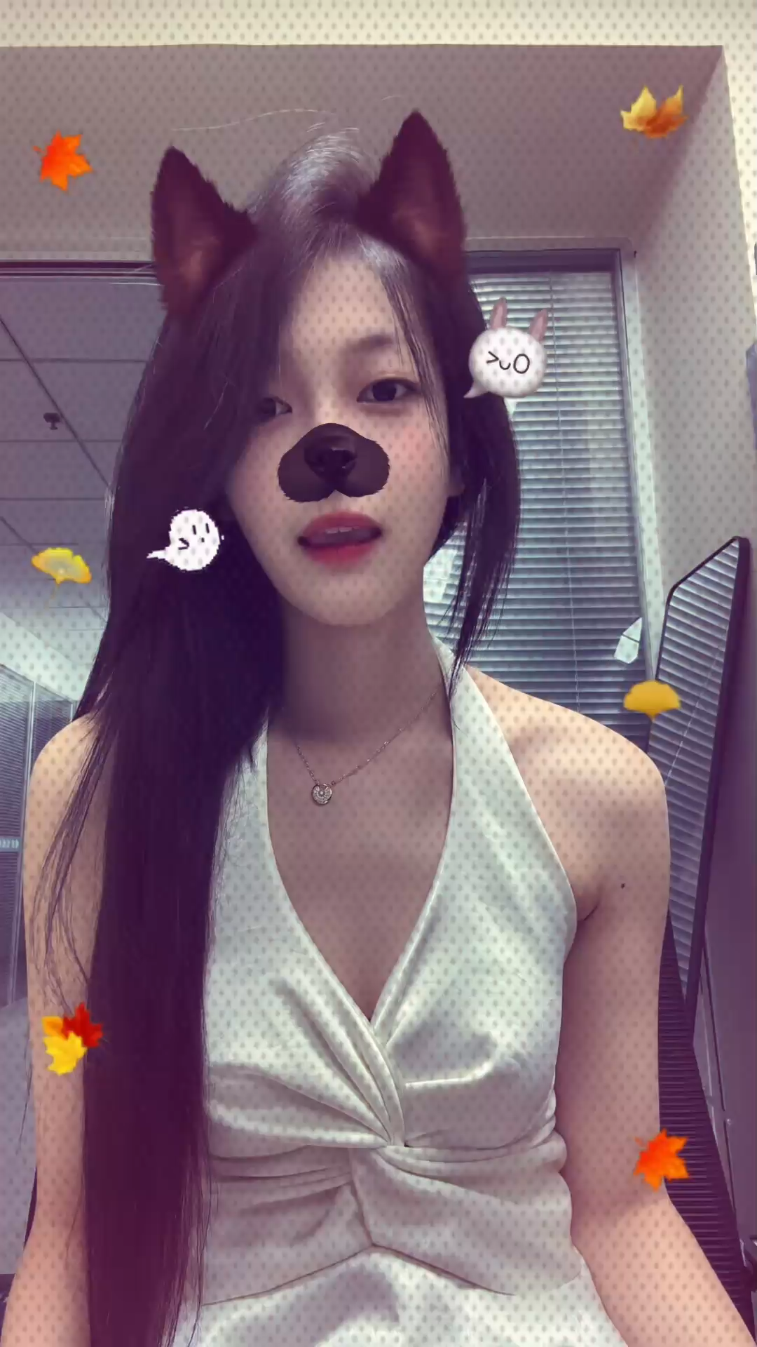 悄悄做个梦给你又怕做