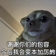 晓菲反思中