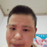 欢快皱鳃鲨☺