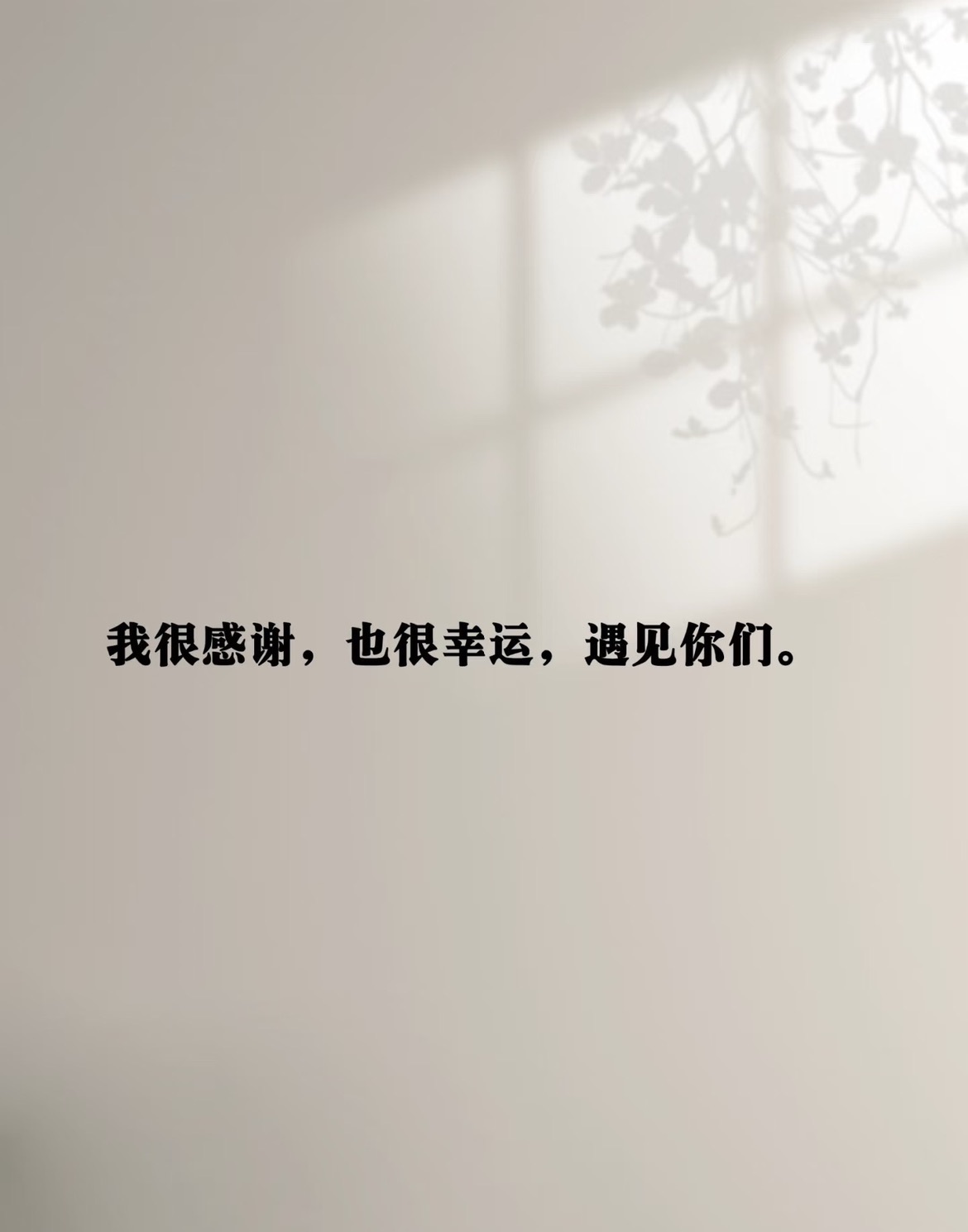 小雅代理ღ感谢有你主播图片