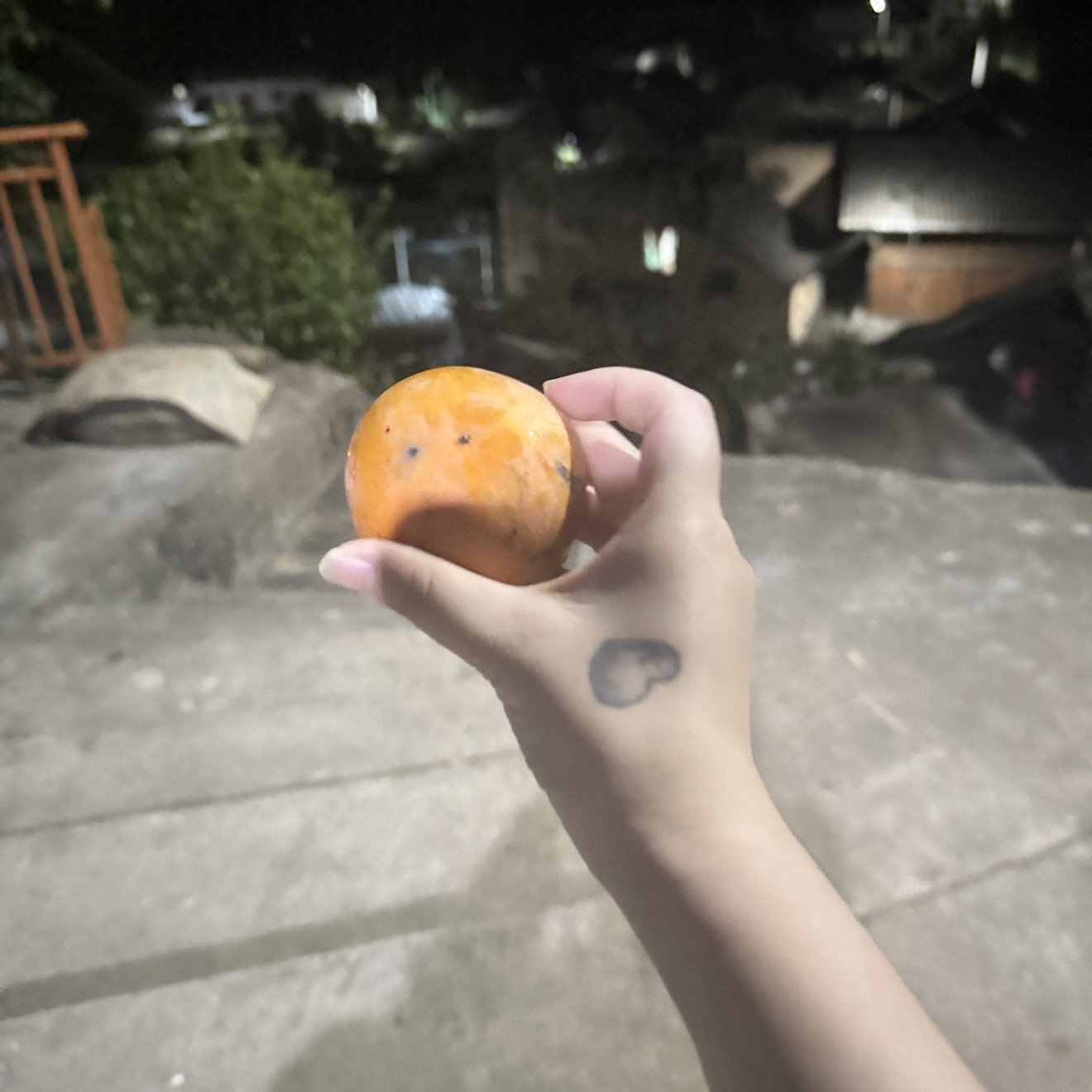 快比椰✌主播图片