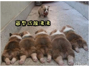 滕叮泡主播图片