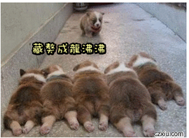 滕叮泡的图片
