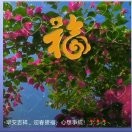冯永兴