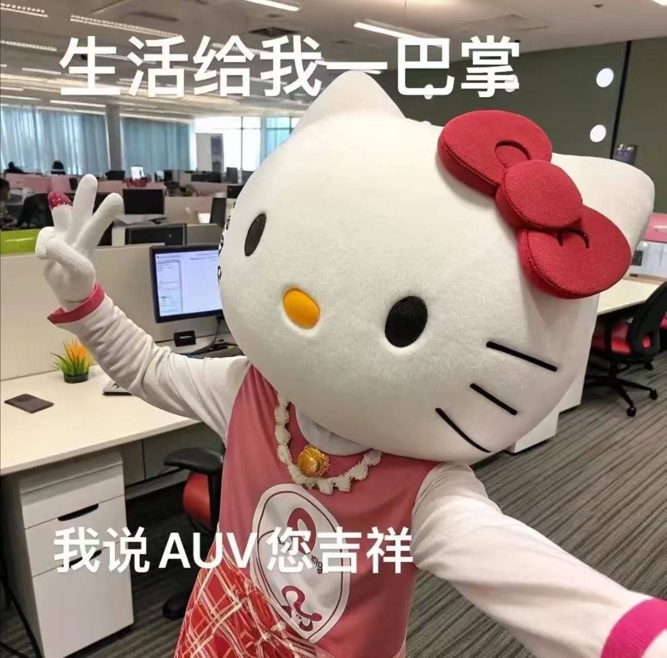 小奶尼🔥主播图片