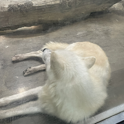 萌新宝宝6469的头像