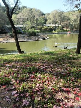 亲爱的你在想我吗冷凡的图片