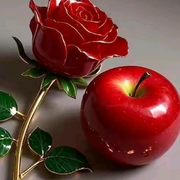 福哥🍎海报