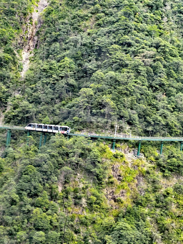 ☜花香染晨☞主播图片