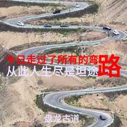⠑⢄⠔⁺⁺車坙ꜝ黑占的头像