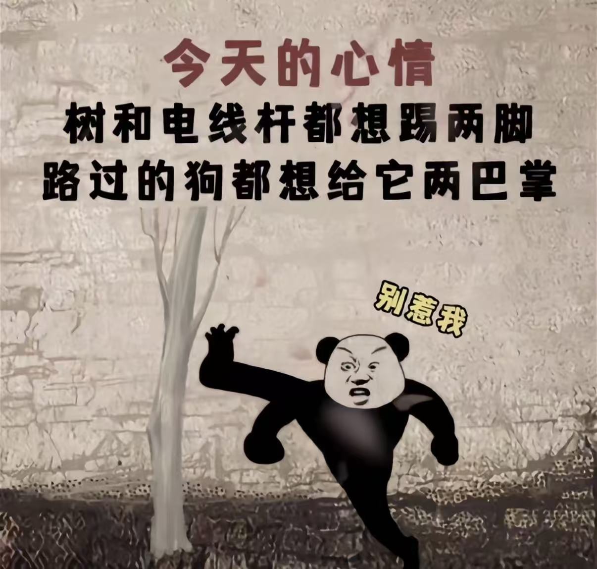 @酒儿顺顺尼～主播图片