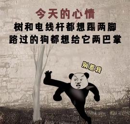 @酒儿顺顺尼～的图片