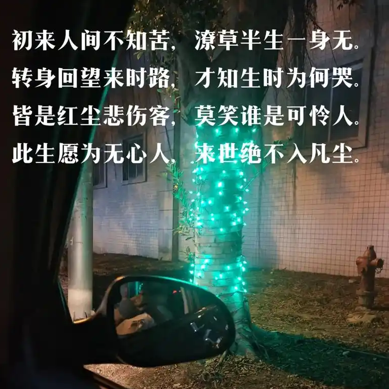 ~垚焱~海报