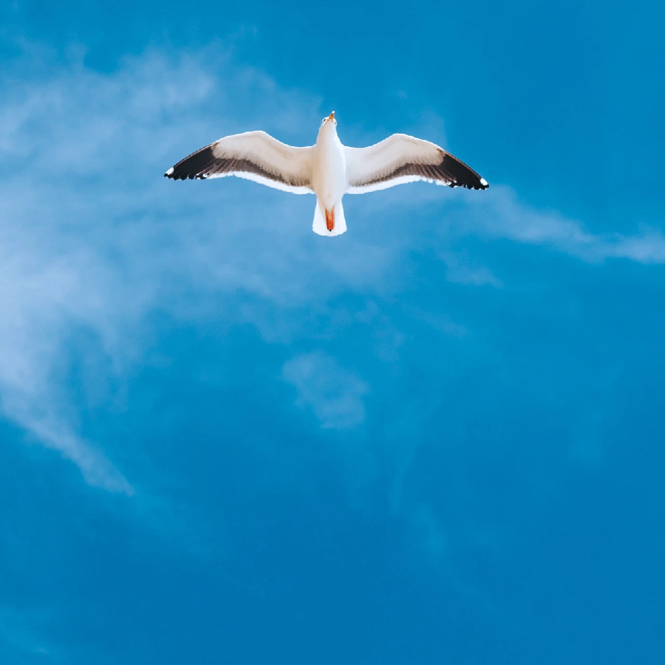 シ浅夏★初雨sh海报